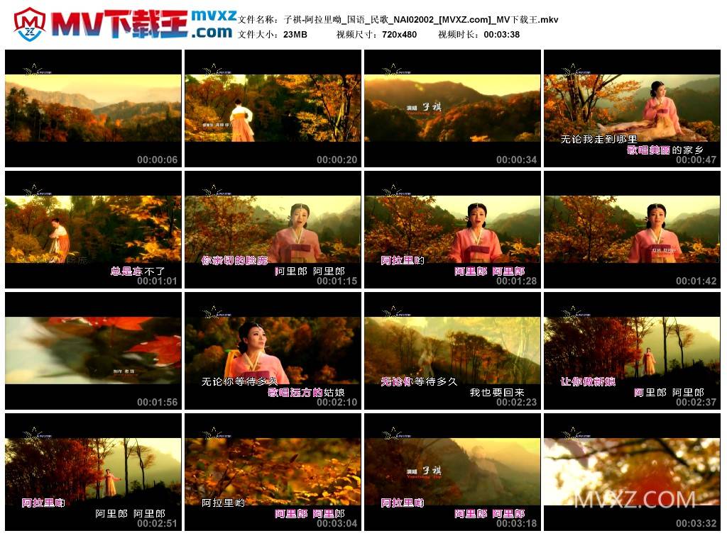 子祺-阿拉里呦_国语_民歌_NAI02002